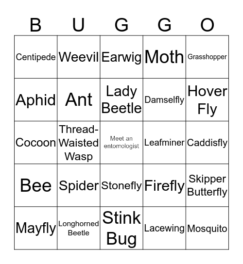 Insect Scavenger Hunt Bingo Card