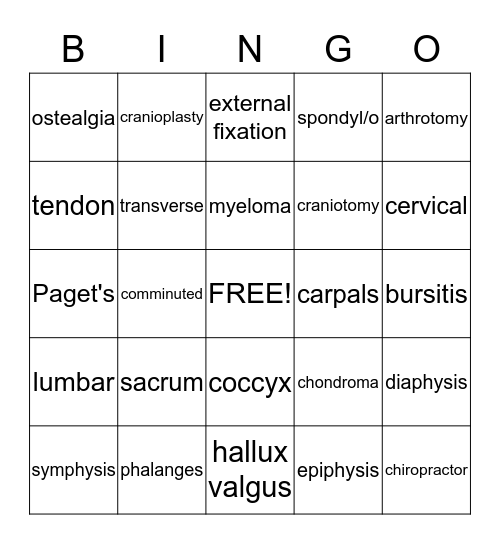 Skeletal System #5 Bingo Card