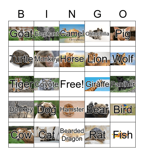 Animals Bingo Card