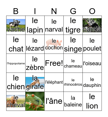 animals Bingo Card