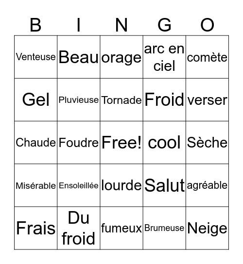 La Météo Bingo Card