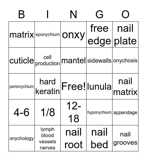 Nail Theory Bingo Card