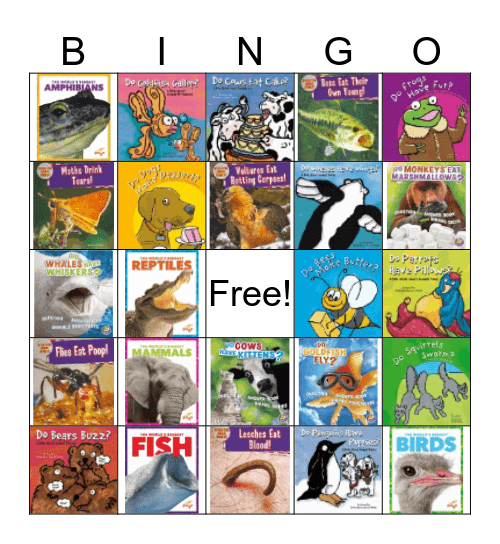 Animal Questions  Bingo Card