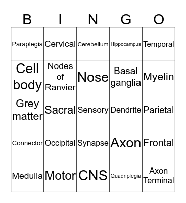 Responding to Our World  Bingo Card
