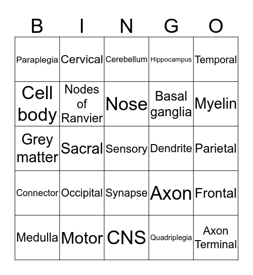 Responding to Our World  Bingo Card