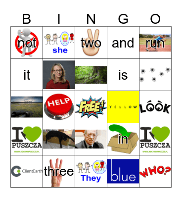 Sight Words Bingo Card