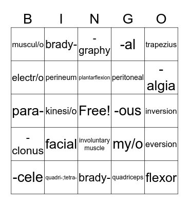 MUSCULAR  SYSTEM Bingo Card