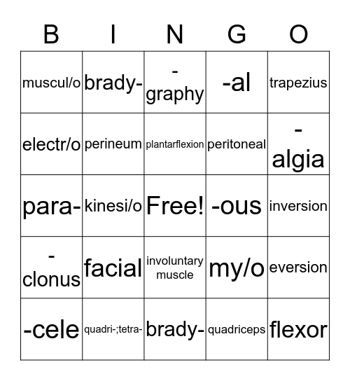 MUSCULAR  SYSTEM Bingo Card