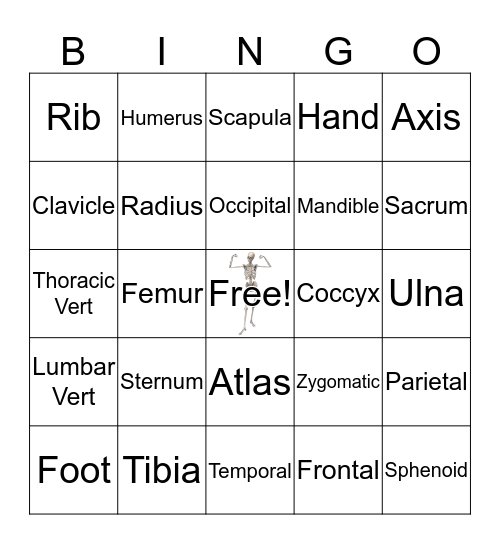 Bones!! Bingo Card