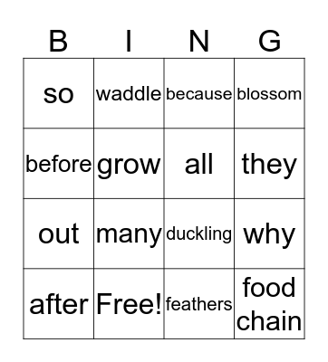 Unit 4 Vocabulary Bingo Card