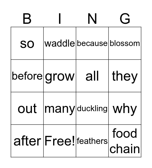 Unit 4 Vocabulary Bingo Card