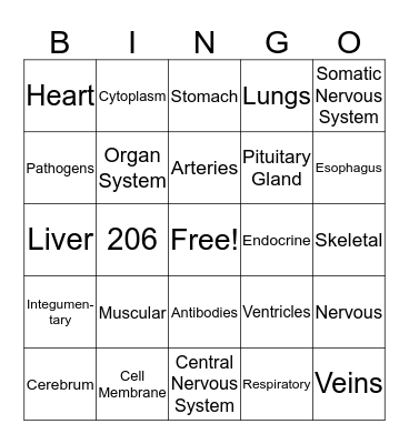 Human Body Systems Bingo Card