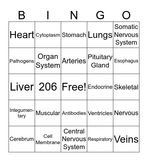 Human Body Systems Bingo Card