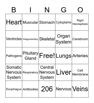 Human Body Systems Bingo Card