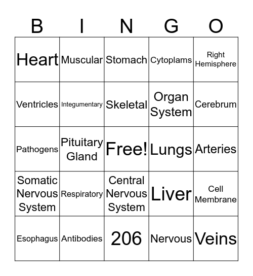 Human Body Systems Bingo Card