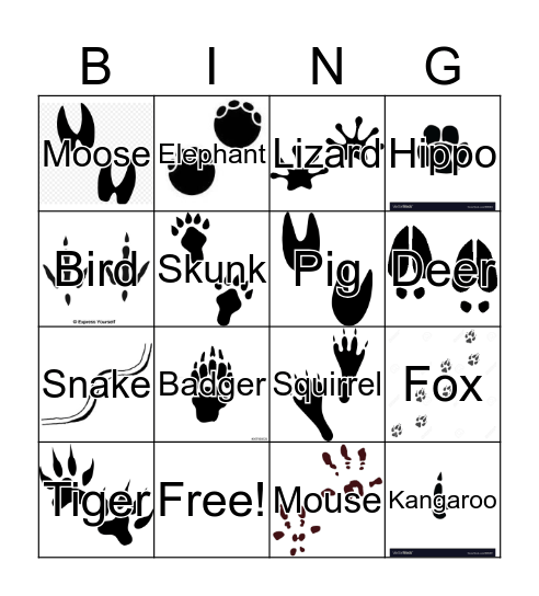 Animal Tracks Bingo Card
