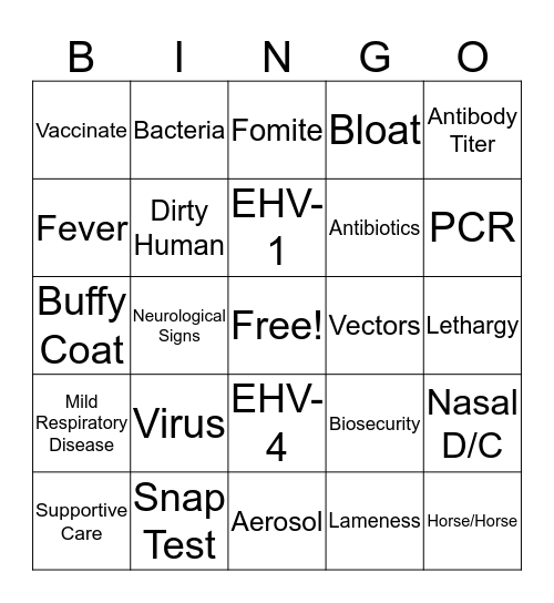 Equine Herpes Bingo Card