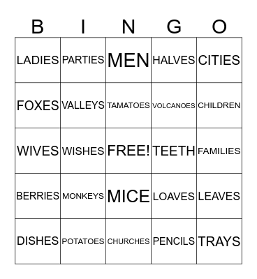 PLURALS Bingo Card