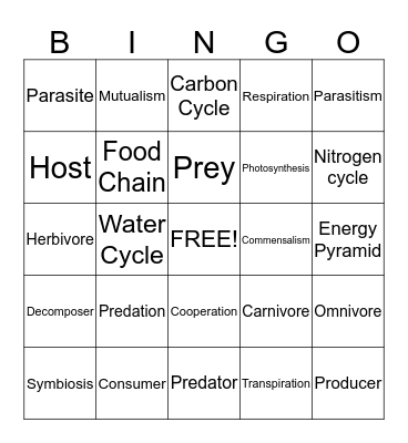 Interactions in Ecosystems Bingo Card