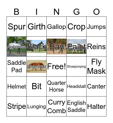 Ranch Bingo Card