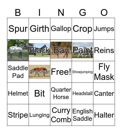 Ranch Bingo Card