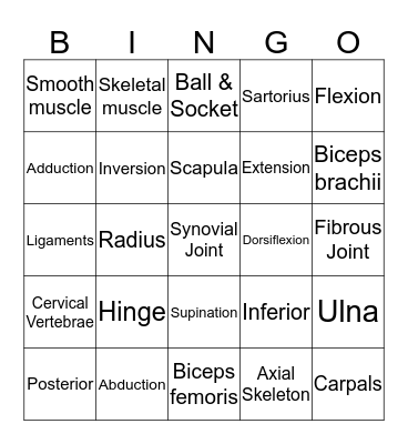 Musculoskeletal System BINGO Card