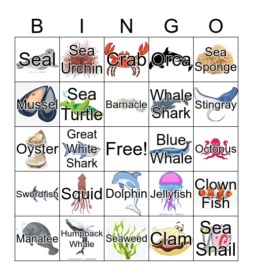 Marine Life Bingo Card
