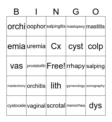 Reproductive System Bingo Card