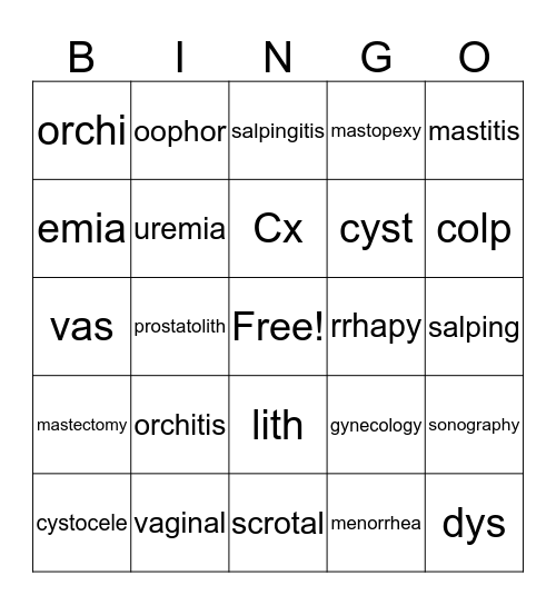 Reproductive System Bingo Card