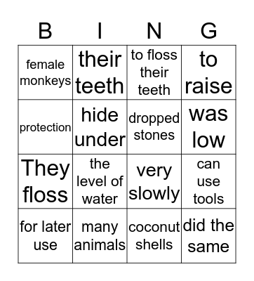 Lesson 4 Reading questions Bingo Card