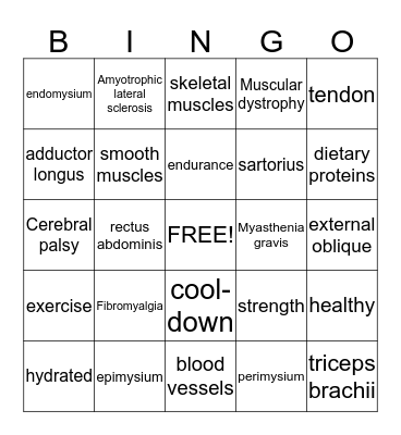 Muscular System Bingo Card