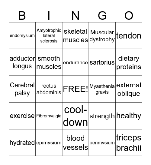 Muscular System Bingo Card