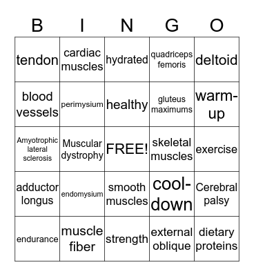 Muscular System Bingo Card