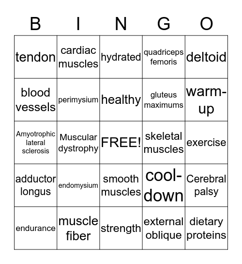 Muscular System Bingo Card
