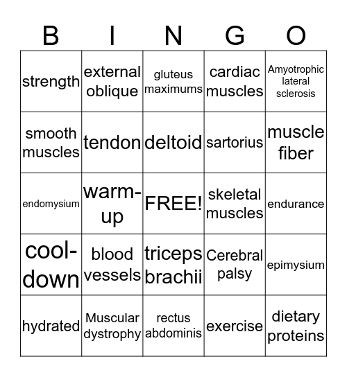 Muscular System Bingo Card