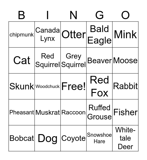 Animal Tracks Bingo Card