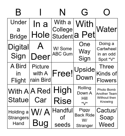 PHOTO SCAVENGER HUNT Bingo Card