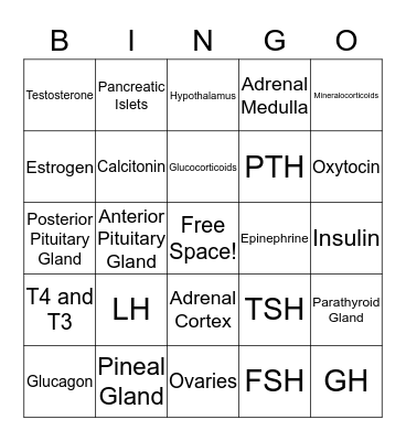 Endocrine System Bingo Card