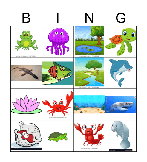 Aquatic Habitats Bingo Card