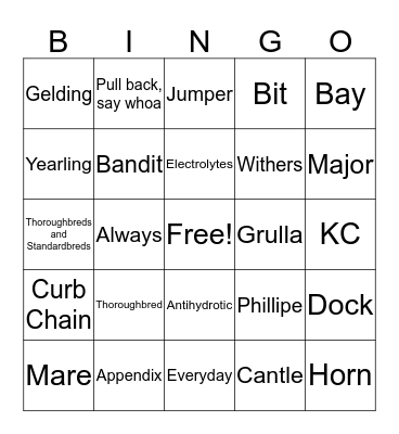 Horse Trivia Bingo Card