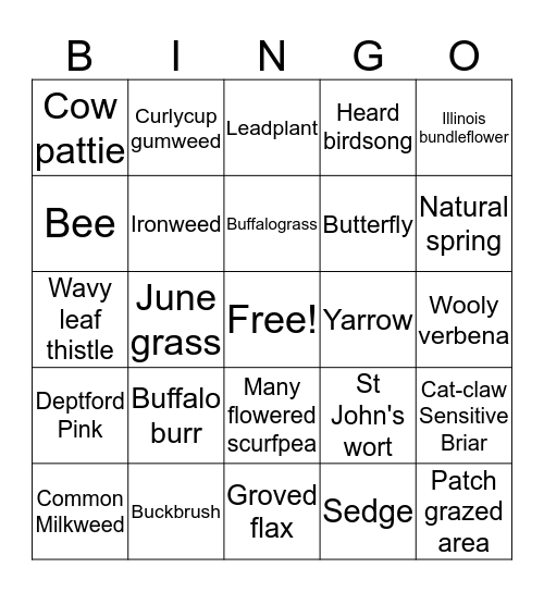 Wildflower Bingo Card