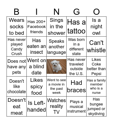 Icebreaker Bingo Card