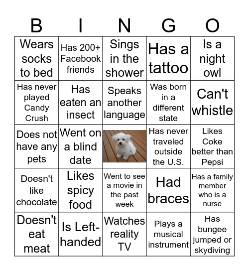 Icebreaker Bingo Card