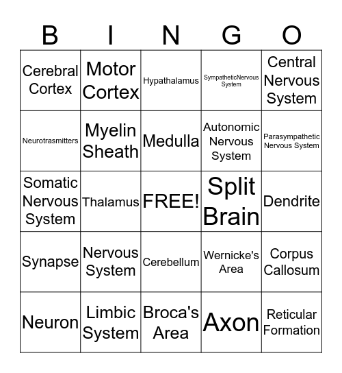 Chapter 2 Bingo Card