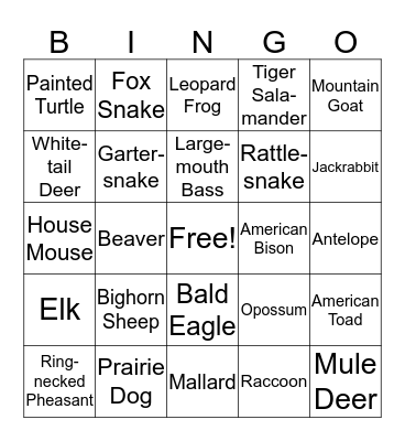 SD Animals Bingo Card