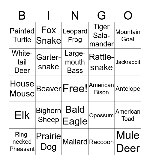 SD Animals Bingo Card