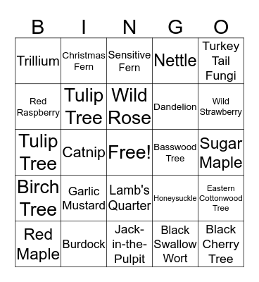 Wild Edibles Bingo Card