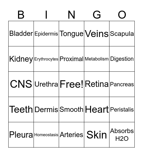 Body Systems Bingo Card