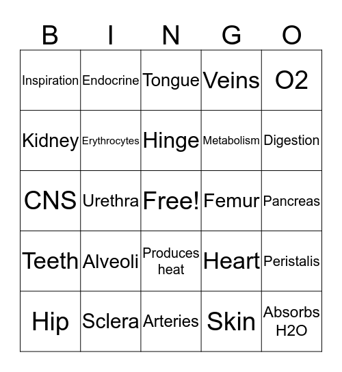 Body Systems Bingo Card