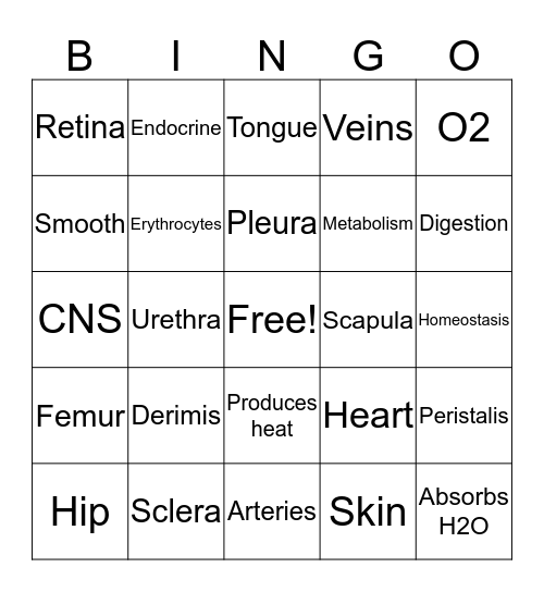 Body Systems Bingo Card